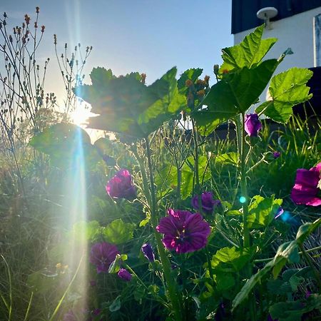 Domki Blisko Nieba III Wisła Buitenkant foto