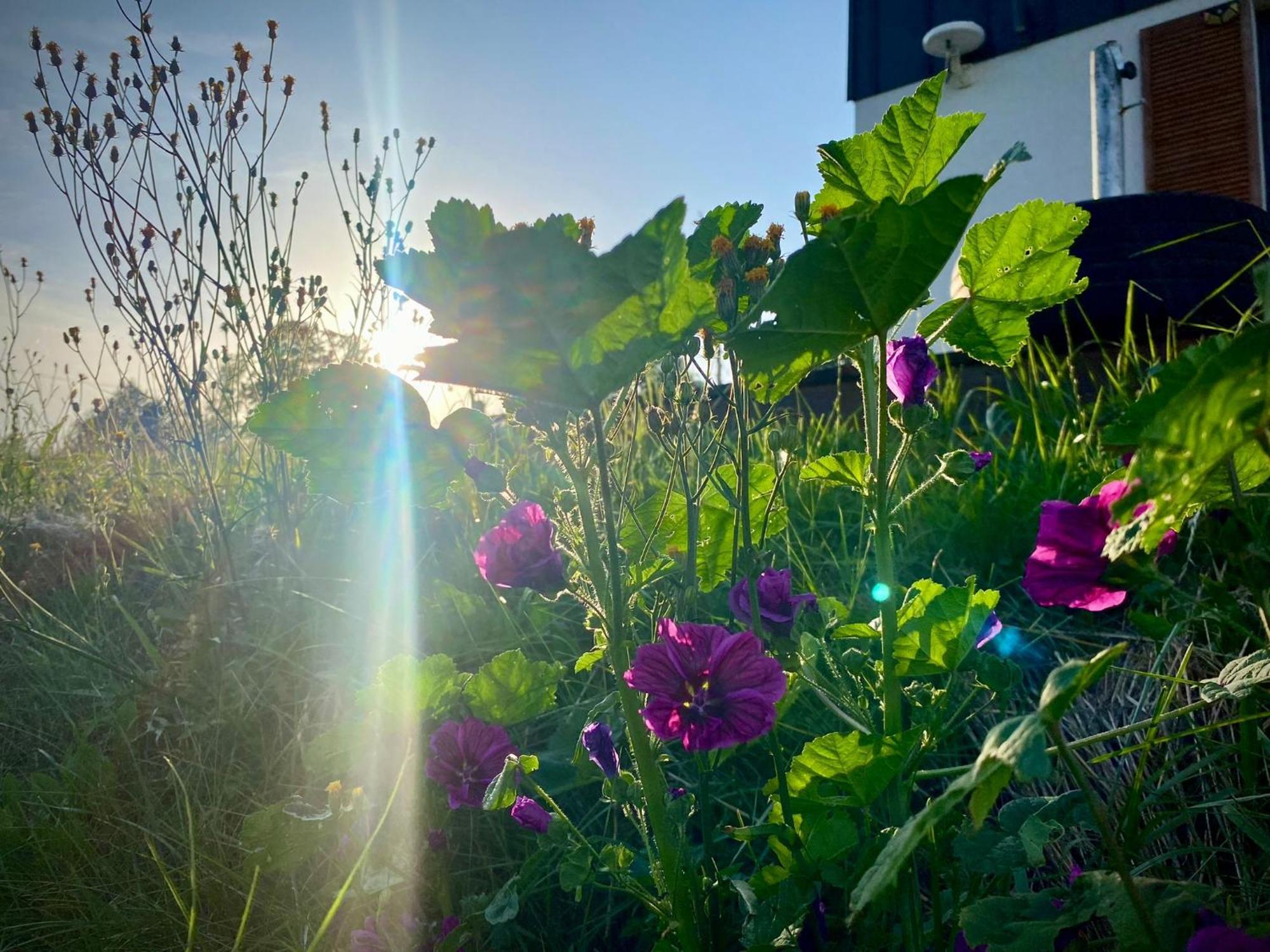 Domki Blisko Nieba III Wisła Buitenkant foto